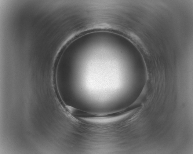 X0000070241326200606161836