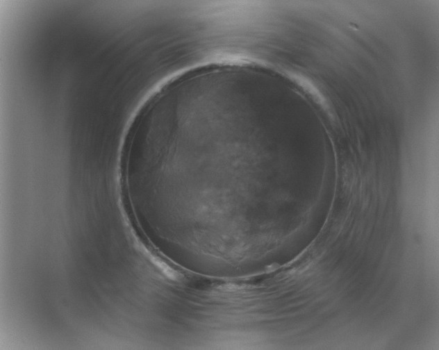 X0000070241327200606161836