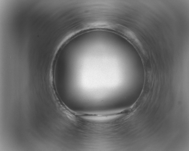 X0000070241328200606161836