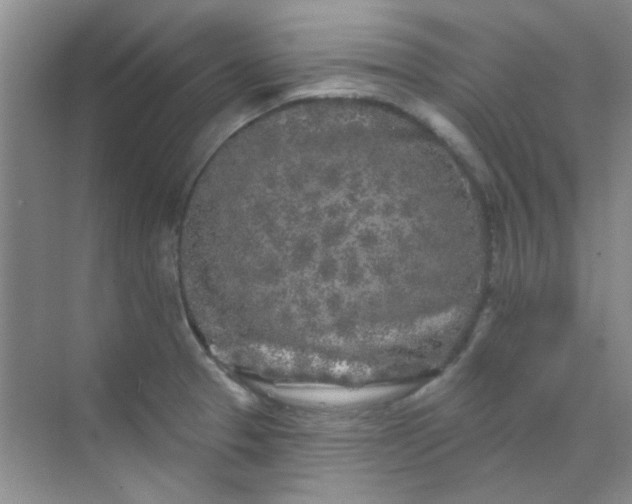 X0000070241329200606161836