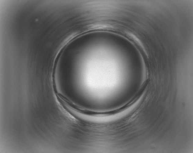 X0000070241330200606161836