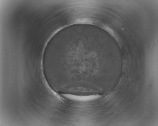 X0000070241331200606161836