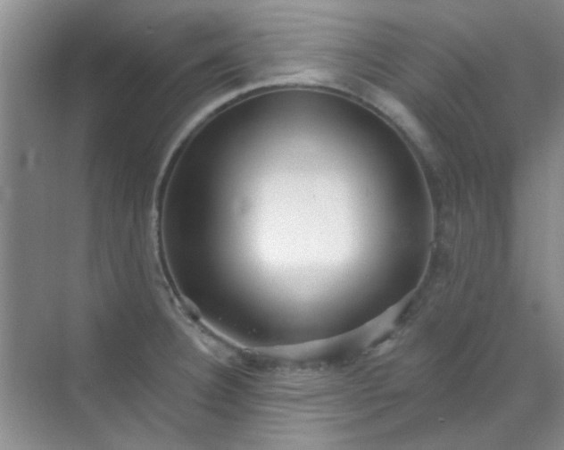 X0000070241332200606161836