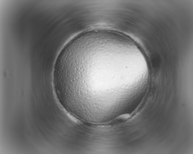 X0000070241333200606161836