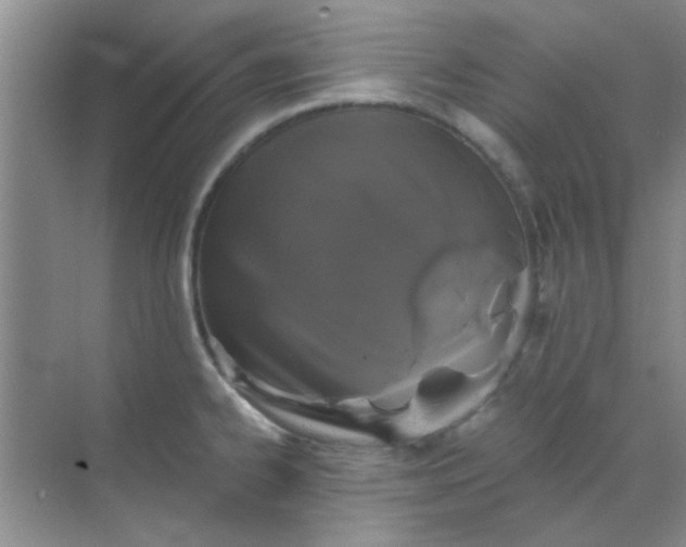 X0000070241334200606161836