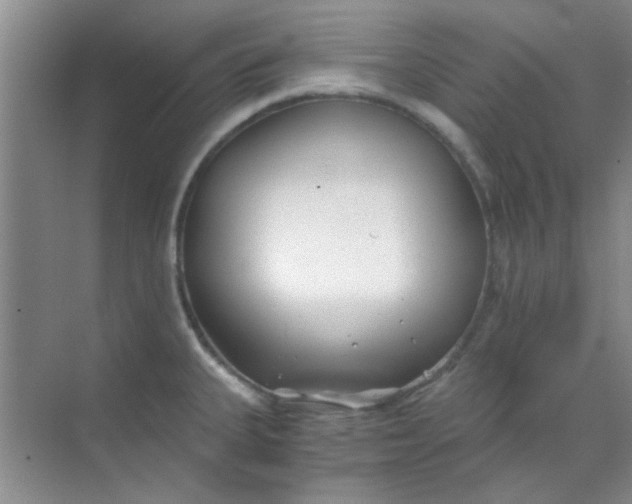 X0000070241335200606161836