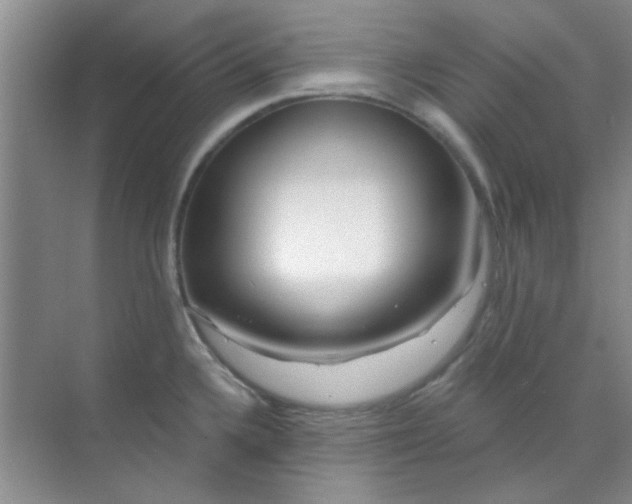 X0000070241336200606161836