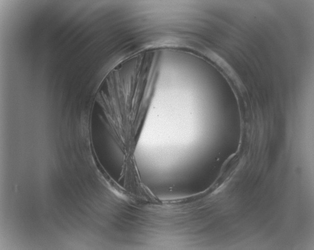 X0000070241337200606161836