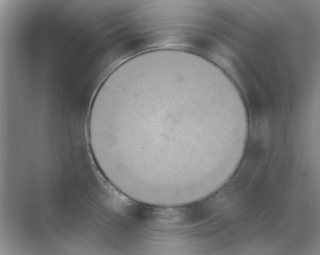 X0000070241338200606161836