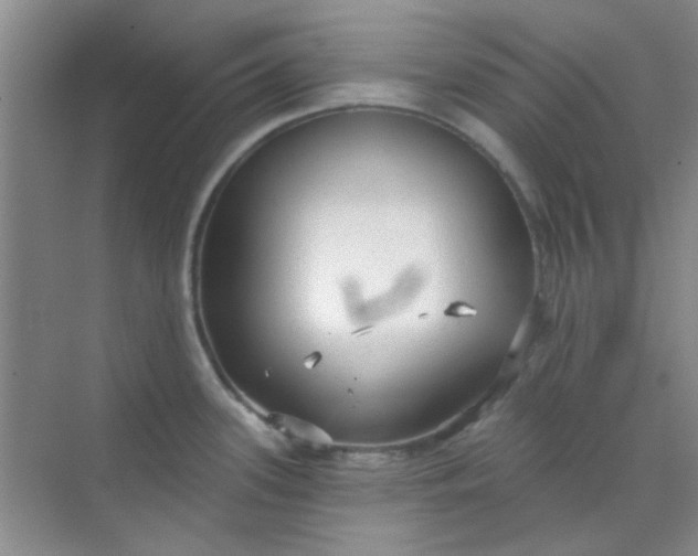 X0000070241339200606161836