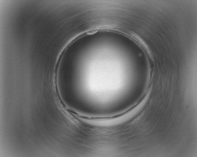 X0000070241340200606161836