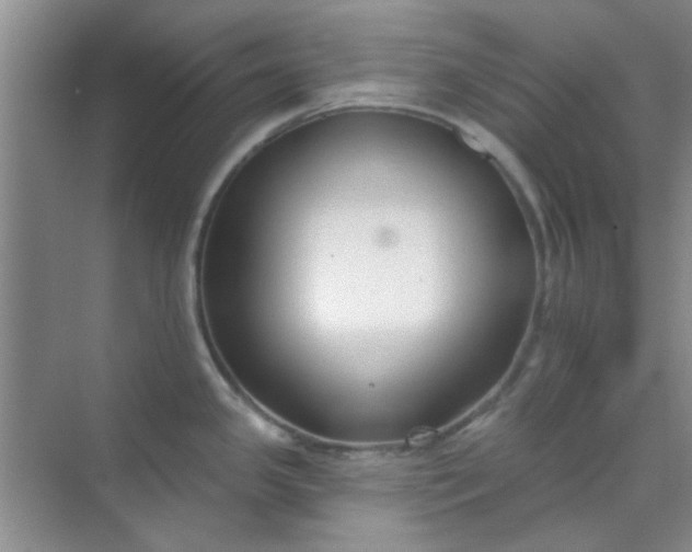 X0000070241341200606161836