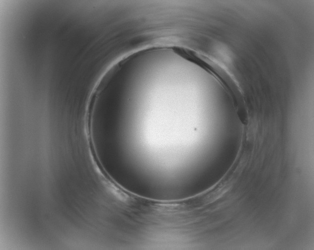 X0000070241342200606161836