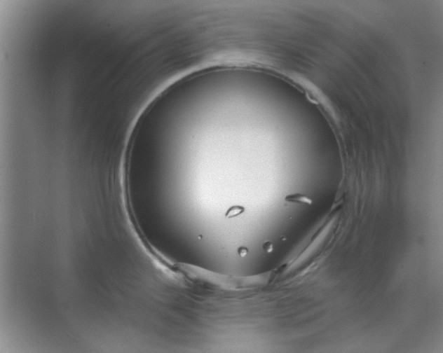 X0000070241343200606161836