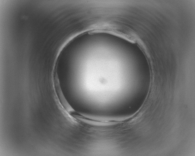 X0000070241344200606161836