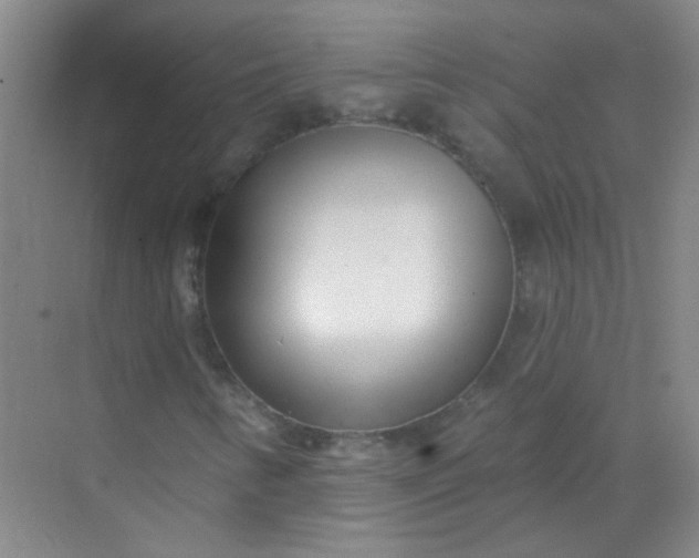 X0000070241346200606161835