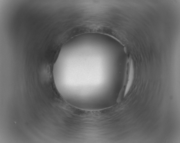 X0000070241347200606161835