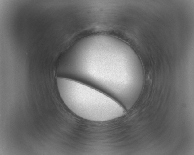 X0000070241348200606161835