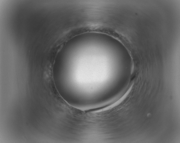 X0000070241349200606161835