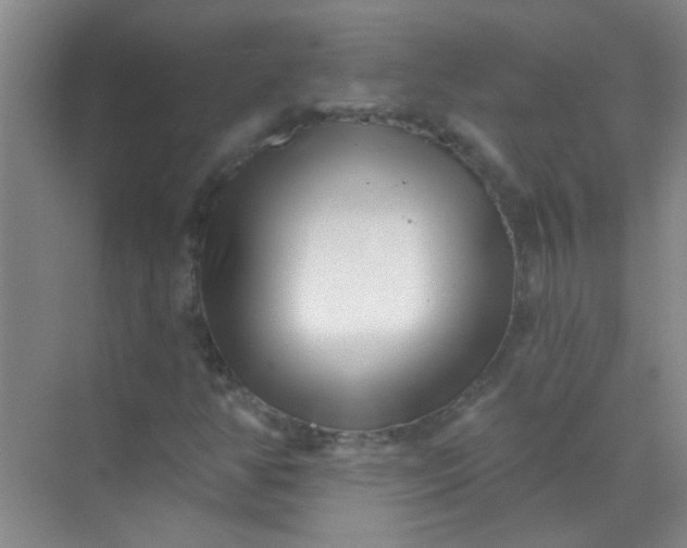 X0000070241350200606161835