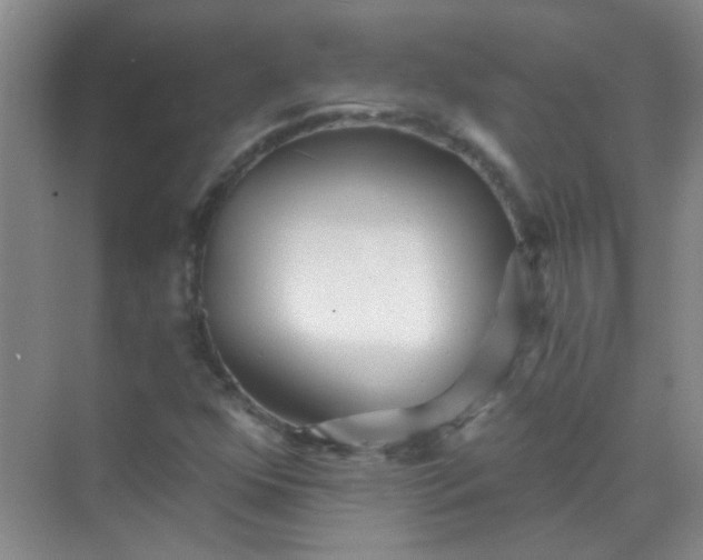 X0000070241352200606161835