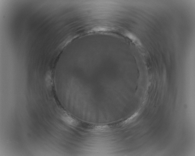 X0000070241353200606161835