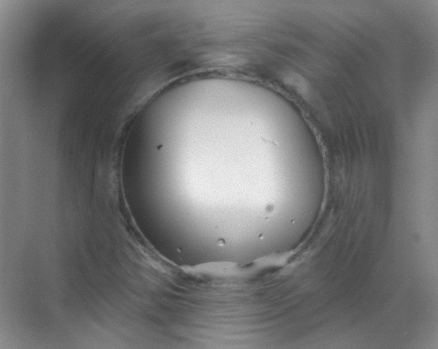 X0000070241354200606161835