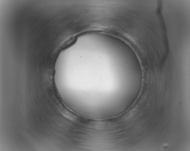 X0000070241355200606161835