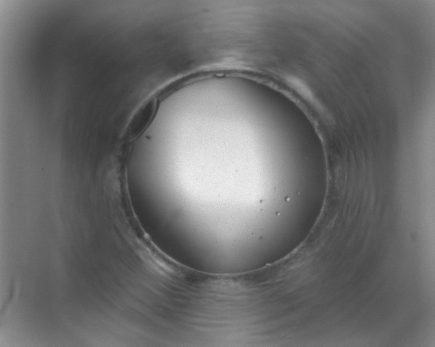 X0000070241356200606161835