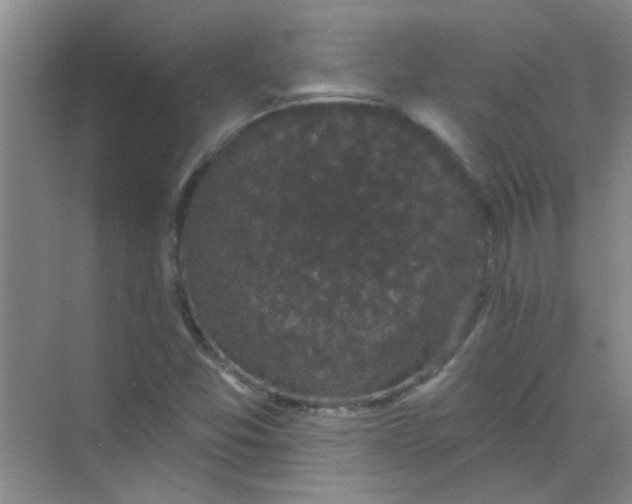 X0000070241357200606161835