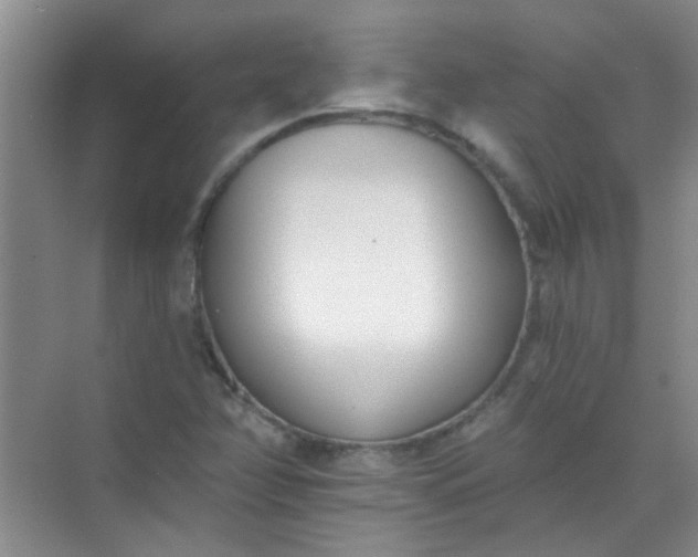 X0000070241358200606161835