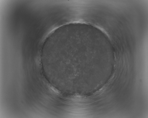 X0000070241359200606161835