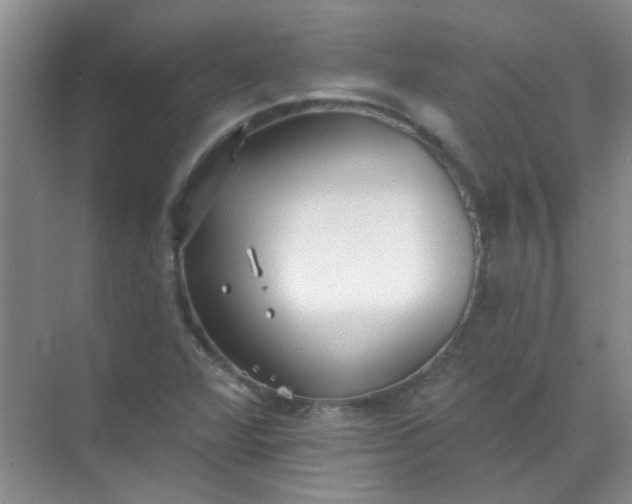 X0000070241360200606161835