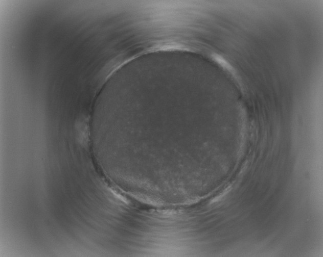 X0000070241361200606161835