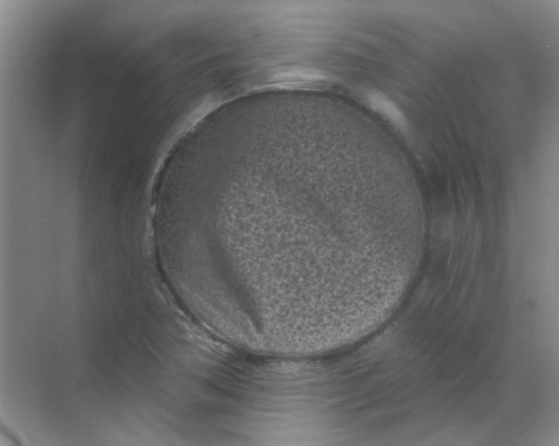 X0000070241362200606161835