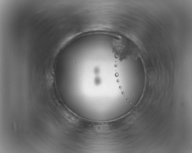 X0000070241363200606161835