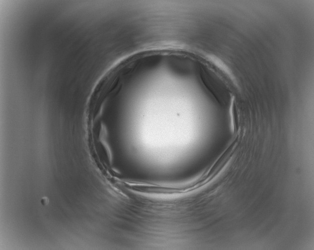 X0000070241364200606161835