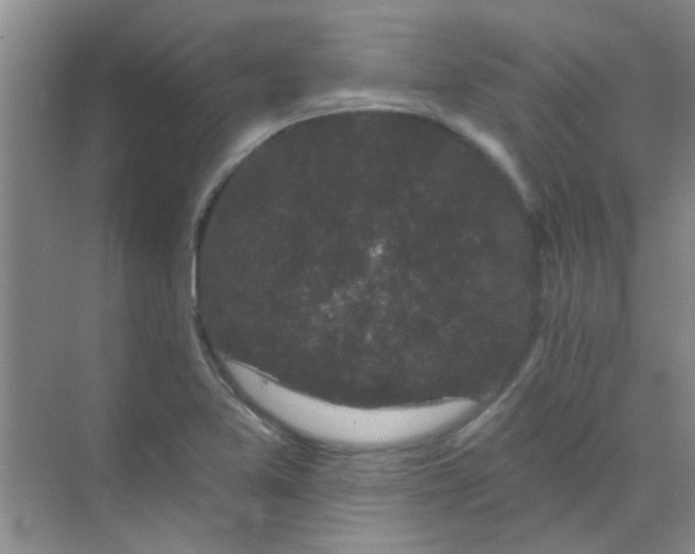 X0000070241365200606161835