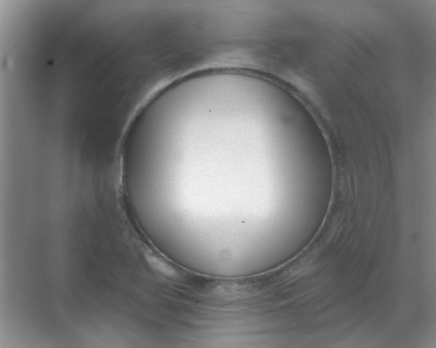 X0000070241366200606161835