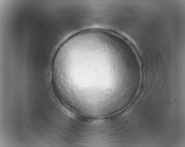 X0000070241367200606161835