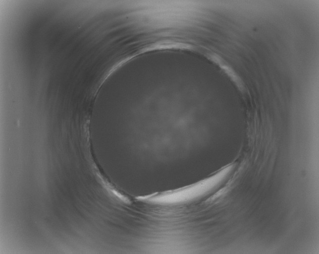 X0000070241369200606161835