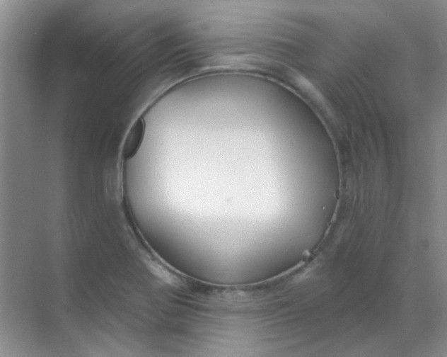 X0000070241370200606161835