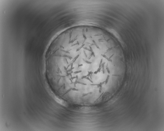 X0000070241371200606161835