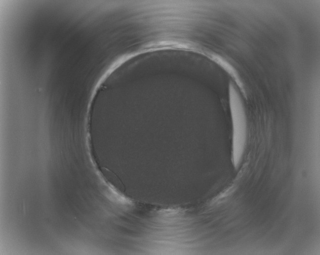 X0000070241373200606161835