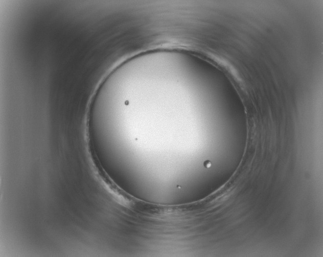 X0000070241375200606161834