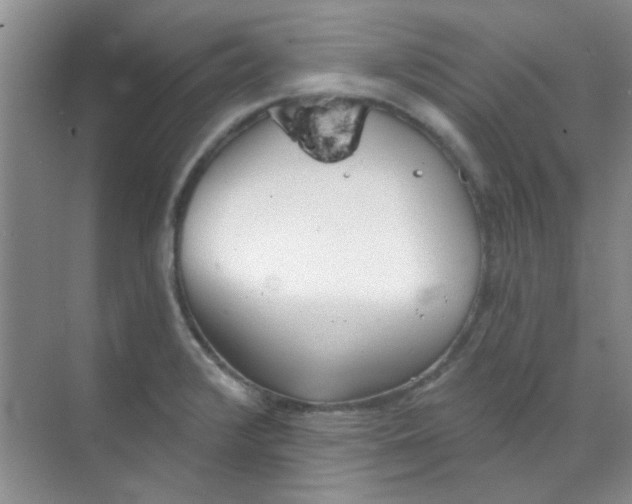 X0000070241376200606161834