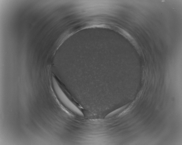 X0000070241377200606161834