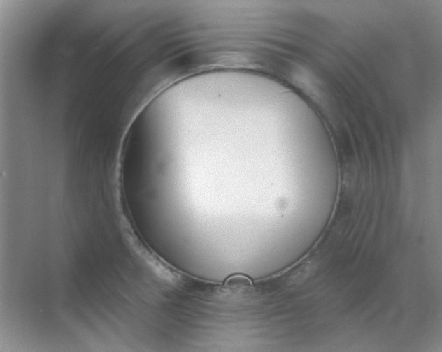 X0000070241378200606161834