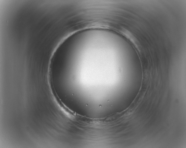 X0000070241379200606161834