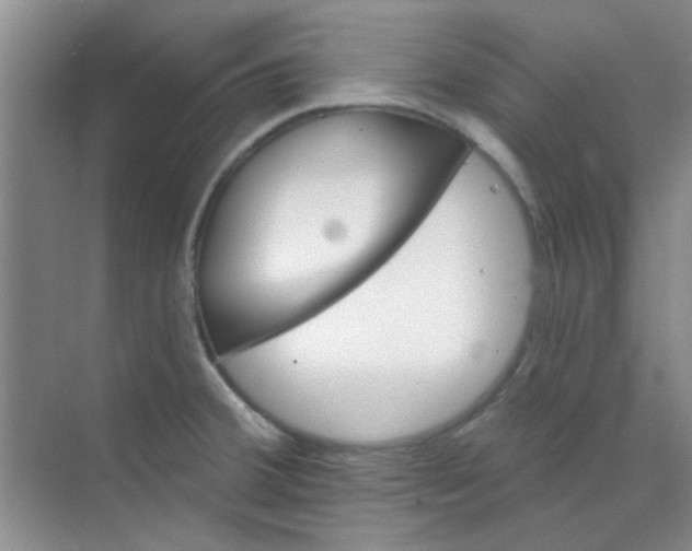 X0000070241380200606161834